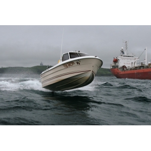 Продаем катер (лодку)  Smartliner 19