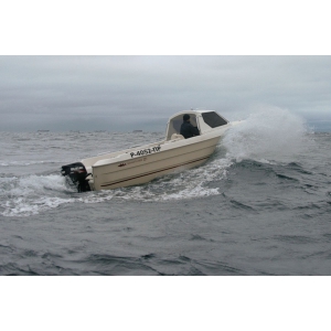 Продаем катер (лодку)  Smartliner 21