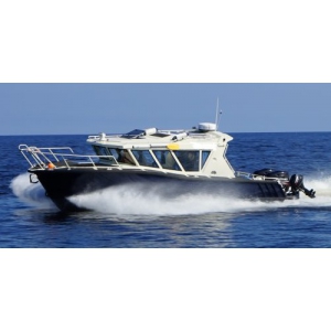 Продаем катер (лодку)  Trident Solo 900