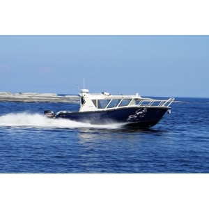 Продаем катер (лодку)  Trident Solo 900